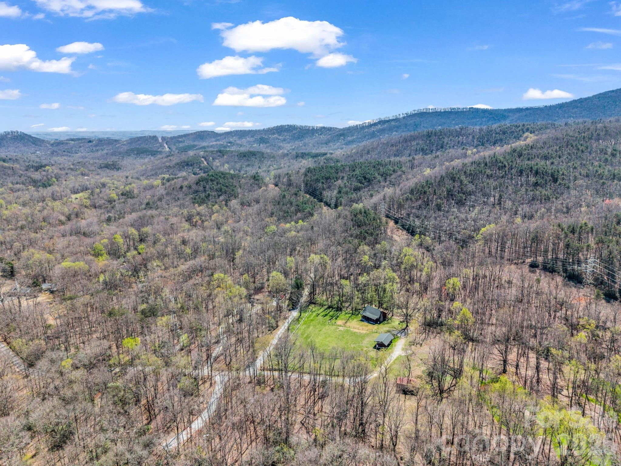 175 Pink Campbell Road Landrum, SC 29356 - Photo 46 of 48