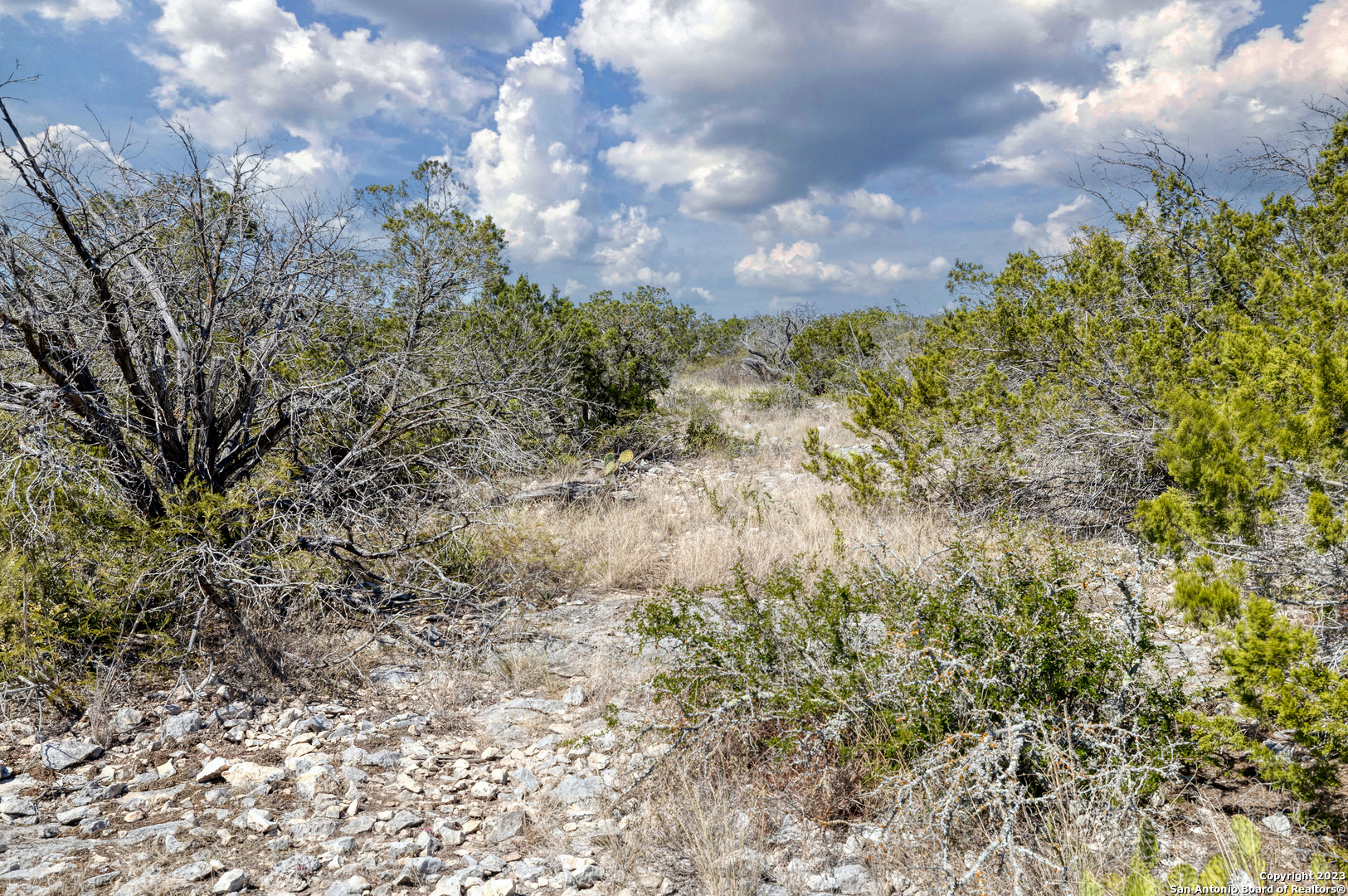 1917 Ranch Road 3348 Brackettville, TX 78832 - Photo 20 of 25 a view of a city with lots of bushes