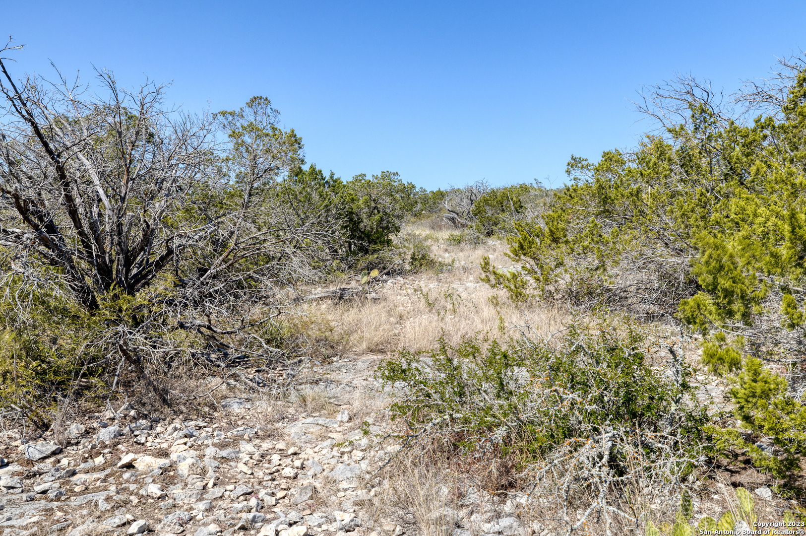 1917 Ranch Road 3348 Brackettville, TX 78832 - Photo 23 of 25 a view of a forest with a house