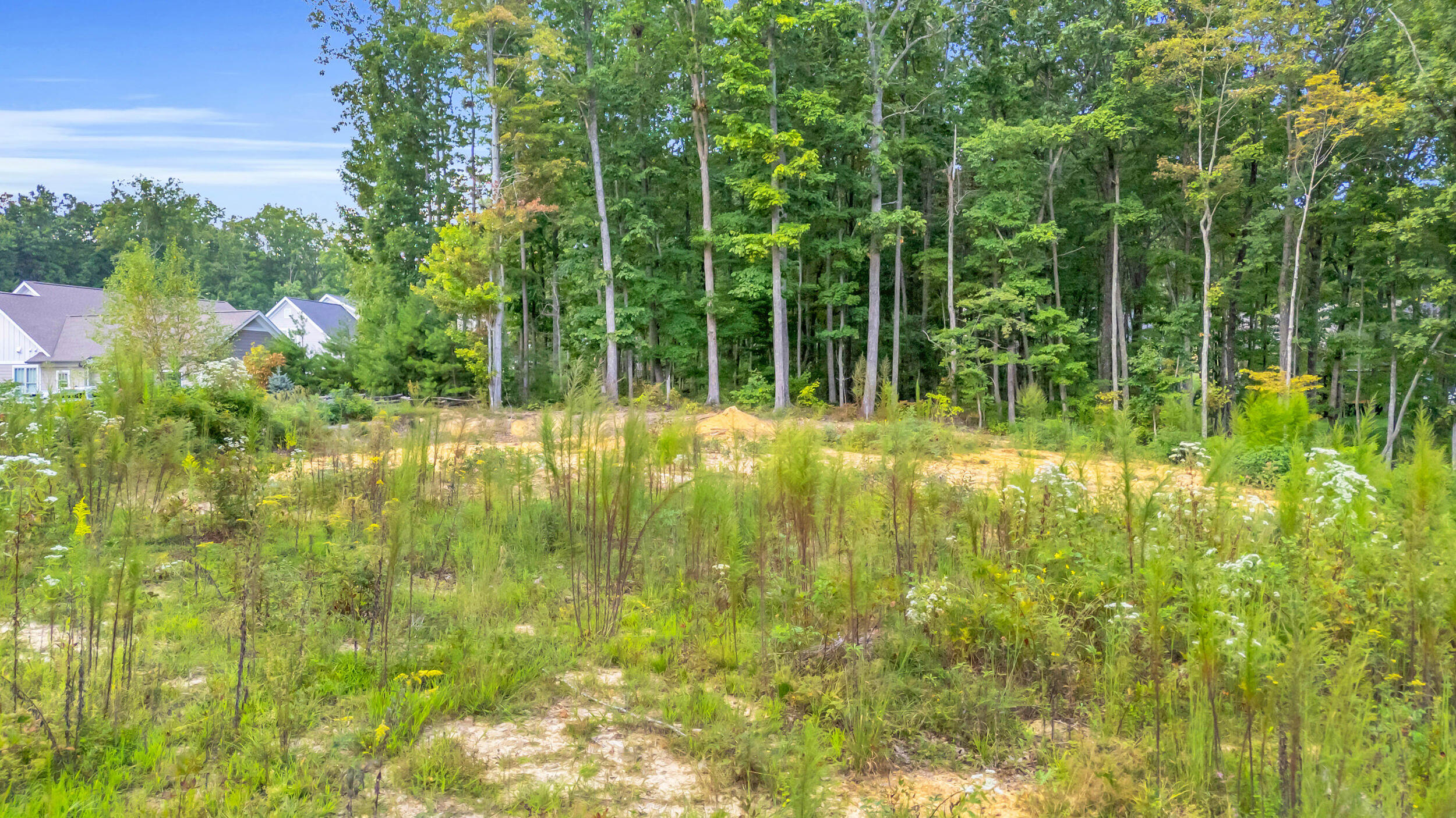 5025 Dandelion Trail Signal Mountain, TN 37377 - Photo 17 of 21 5025 Dandelion Trl-16