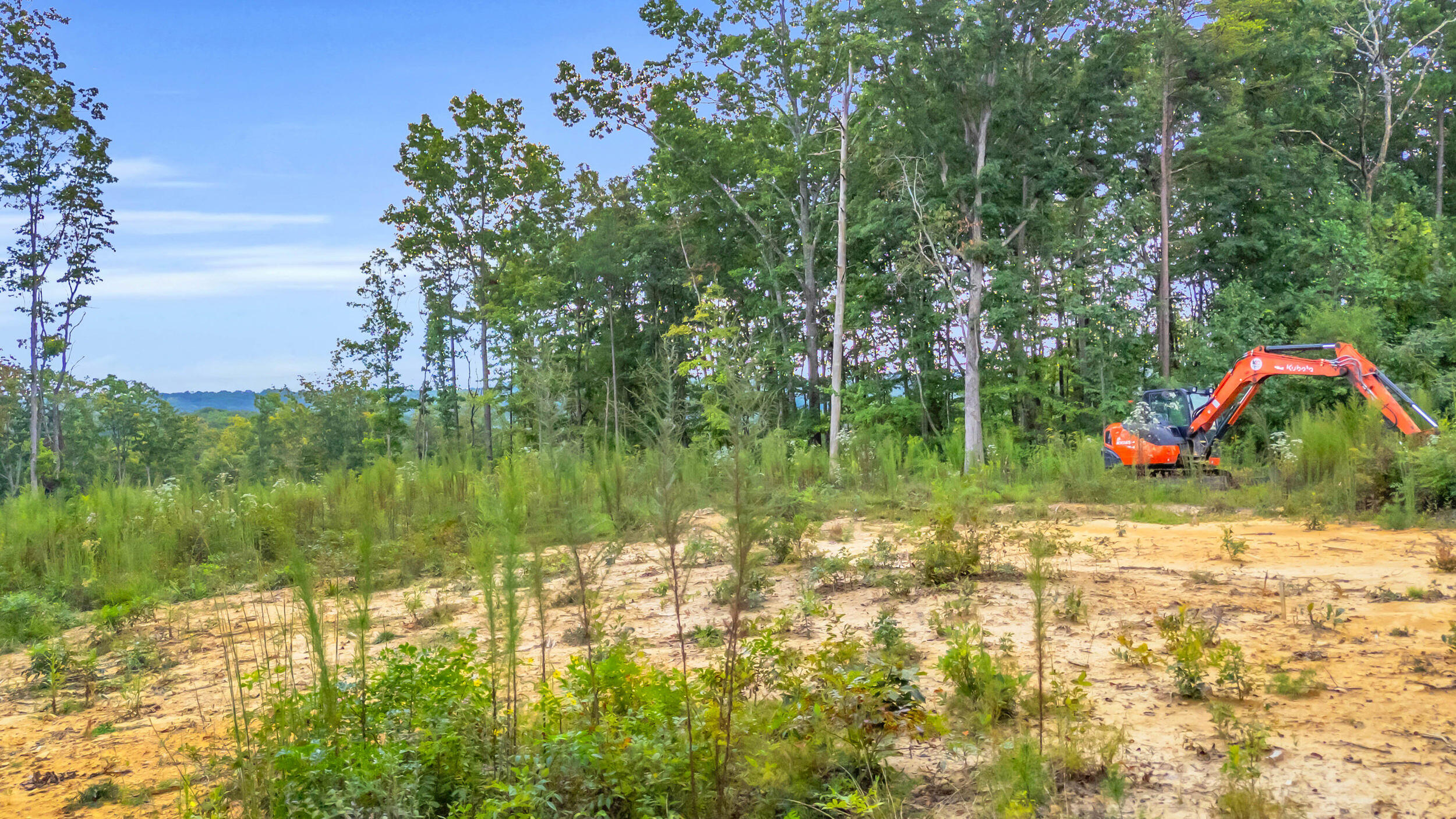 5025 Dandelion Trail Signal Mountain, TN 37377 - Photo 19 of 21 5025 Dandelion Trl-18