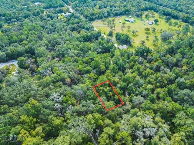 a view of a yard with a tree