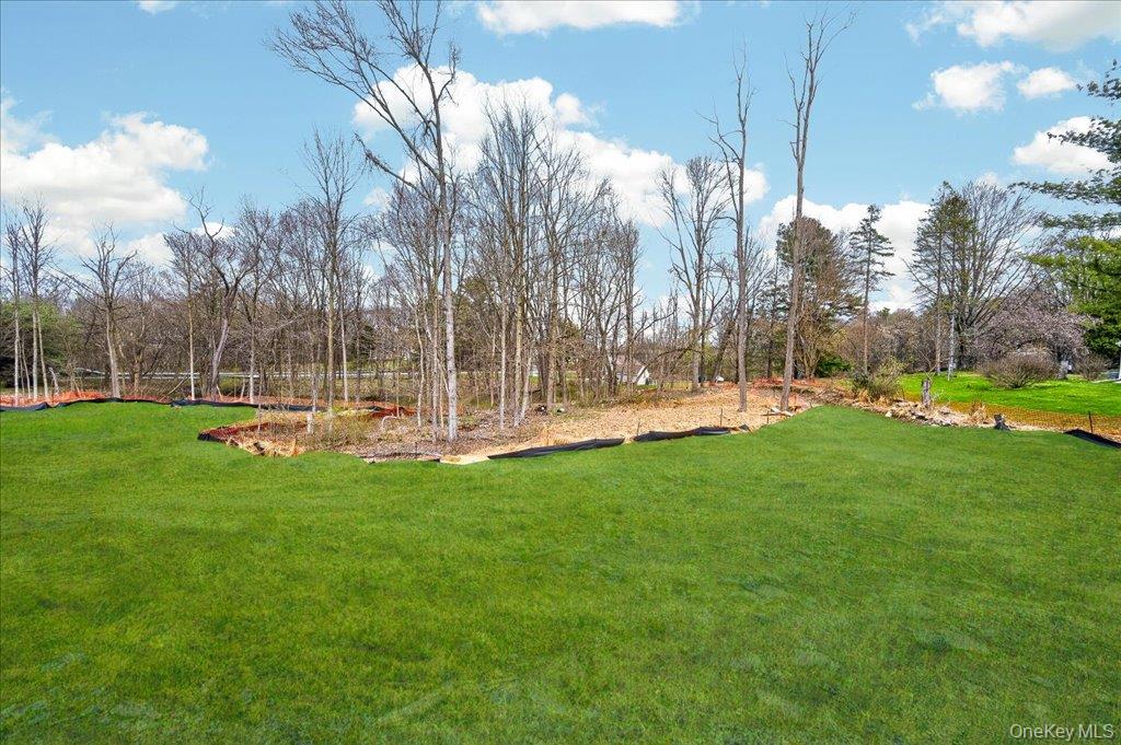 11 Widmer Road Wappingers Falls, NY 12590 - Photo 48 of 48