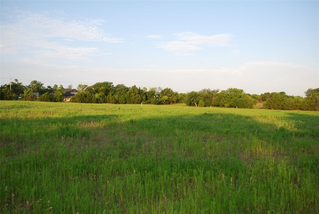 a view of grassy field with ocean