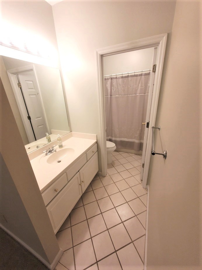 910 Churchill Crossing Madison, TN 37115 - Photo 19 of 38 a bathroom with a sink a toilet and a mirror