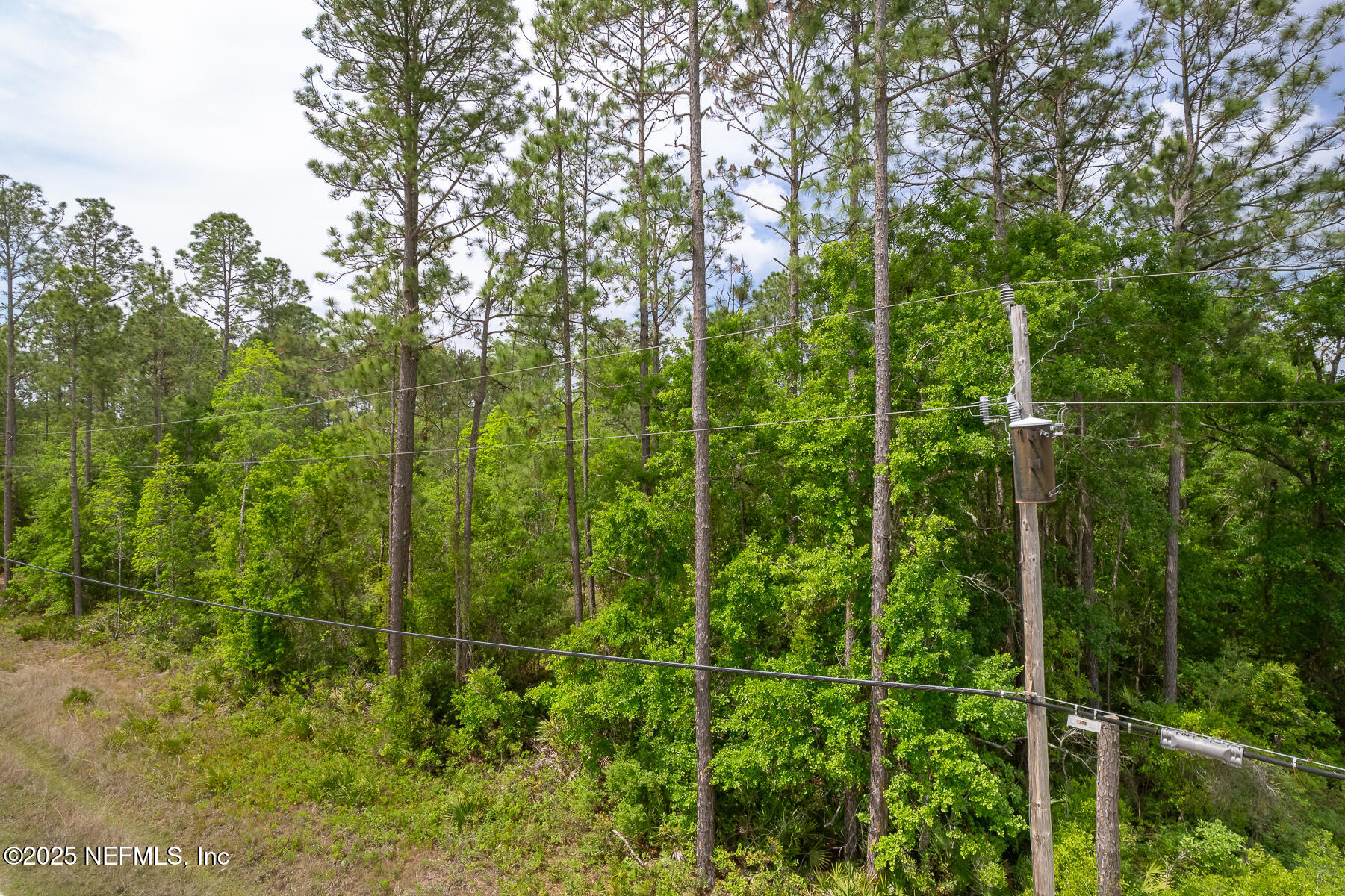 4431 Bondarenko Road Keystone Heights, FL 32656 - Photo 4 of 8 4431Bondarenko-0050