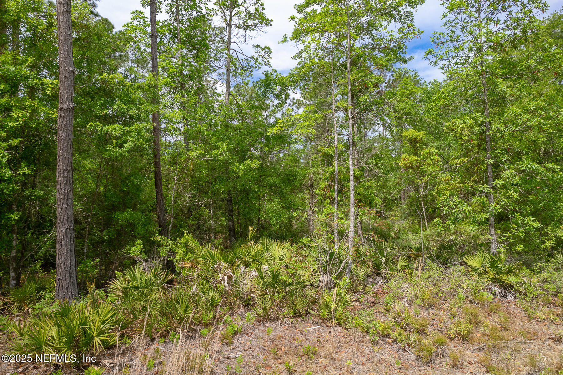 4431 Bondarenko Road Keystone Heights, FL 32656 - Photo 5 of 8 4431Bondarenko-0052