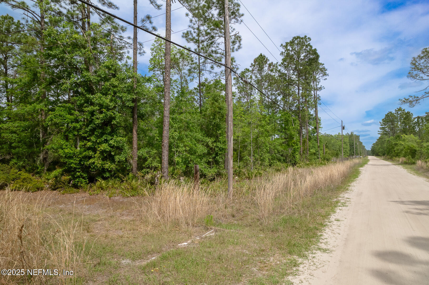 4431 Bondarenko Road Keystone Heights, FL 32656 - Photo 6 of 8 4431Bondarenko-0053