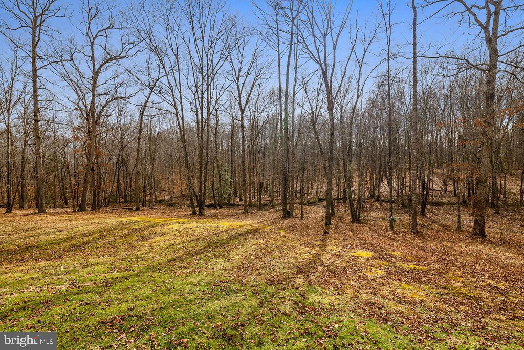 14367 Crawleys Dam Road Goldvein, VA 22720 - Photo 38 of 46 50 acres of woods to enjoy!