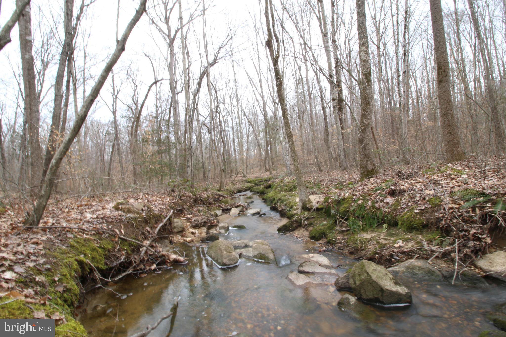 14367 Crawleys Dam Road Goldvein, VA 22720 - Photo 40 of 46 Actively flowing creek!