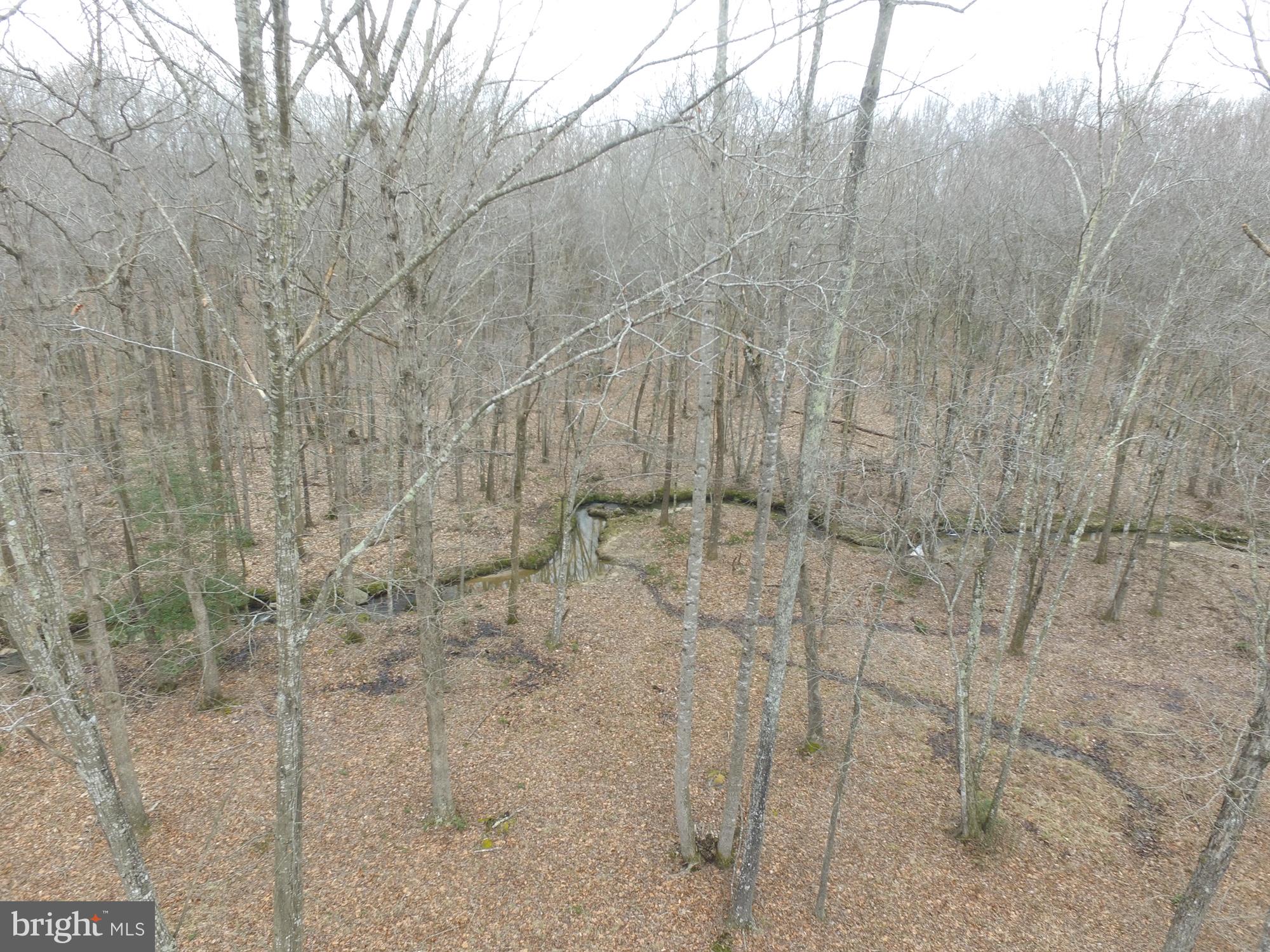 14367 Crawleys Dam Road Goldvein, VA 22720 - Photo 42 of 46 Aerial view of the creek