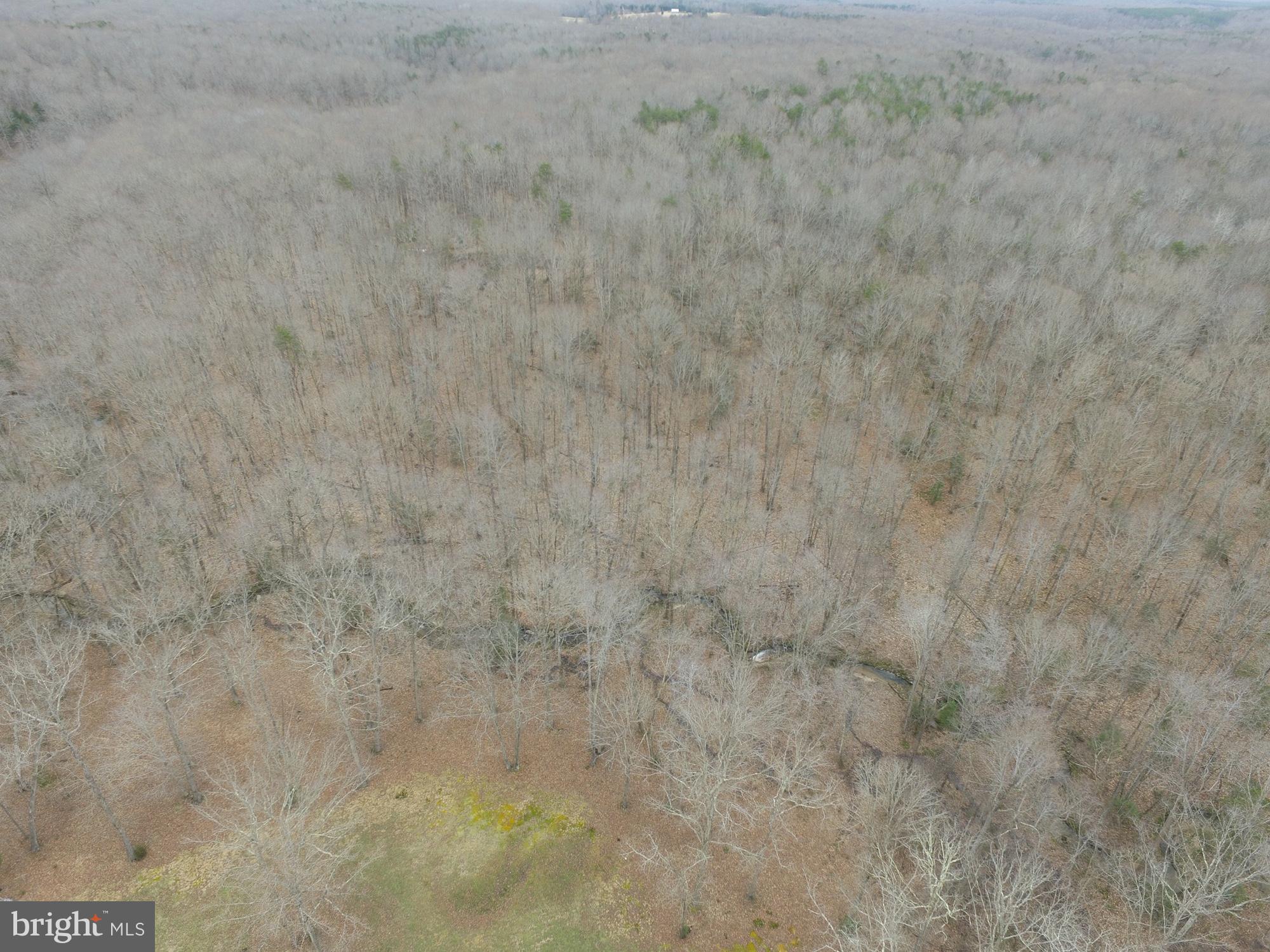 14367 Crawleys Dam Road Goldvein, VA 22720 - Photo 45 of 46