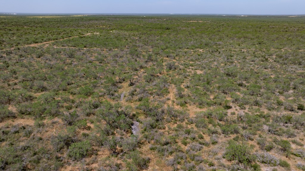 242 Cinco Millas Road Jourdanton, TX 78026 - Photo 18 of 35 Gallery Image 18