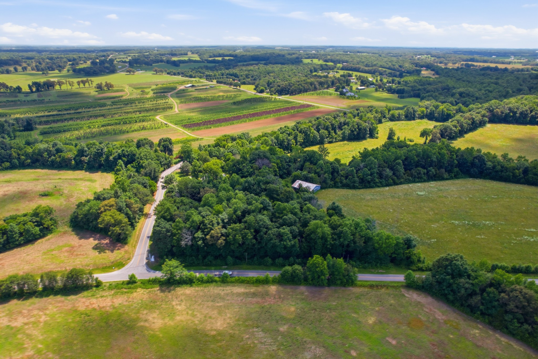 8363 West Green Hill Road Smithville, TN 37166 - Photo 12 of 13