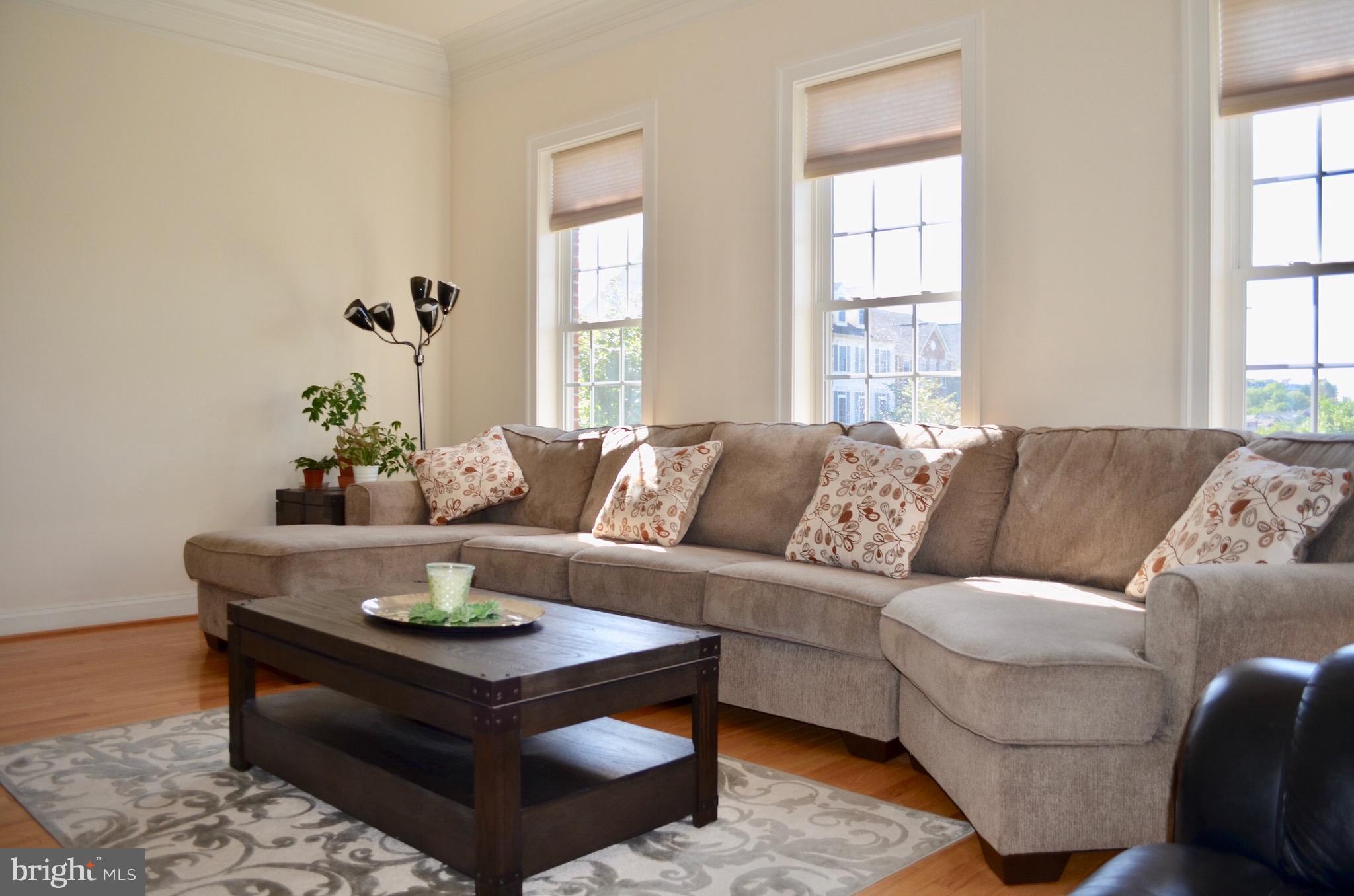 597 Cedar Spring Street Gaithersburg, MD 20877 - Photo 12 of 24 Living Room