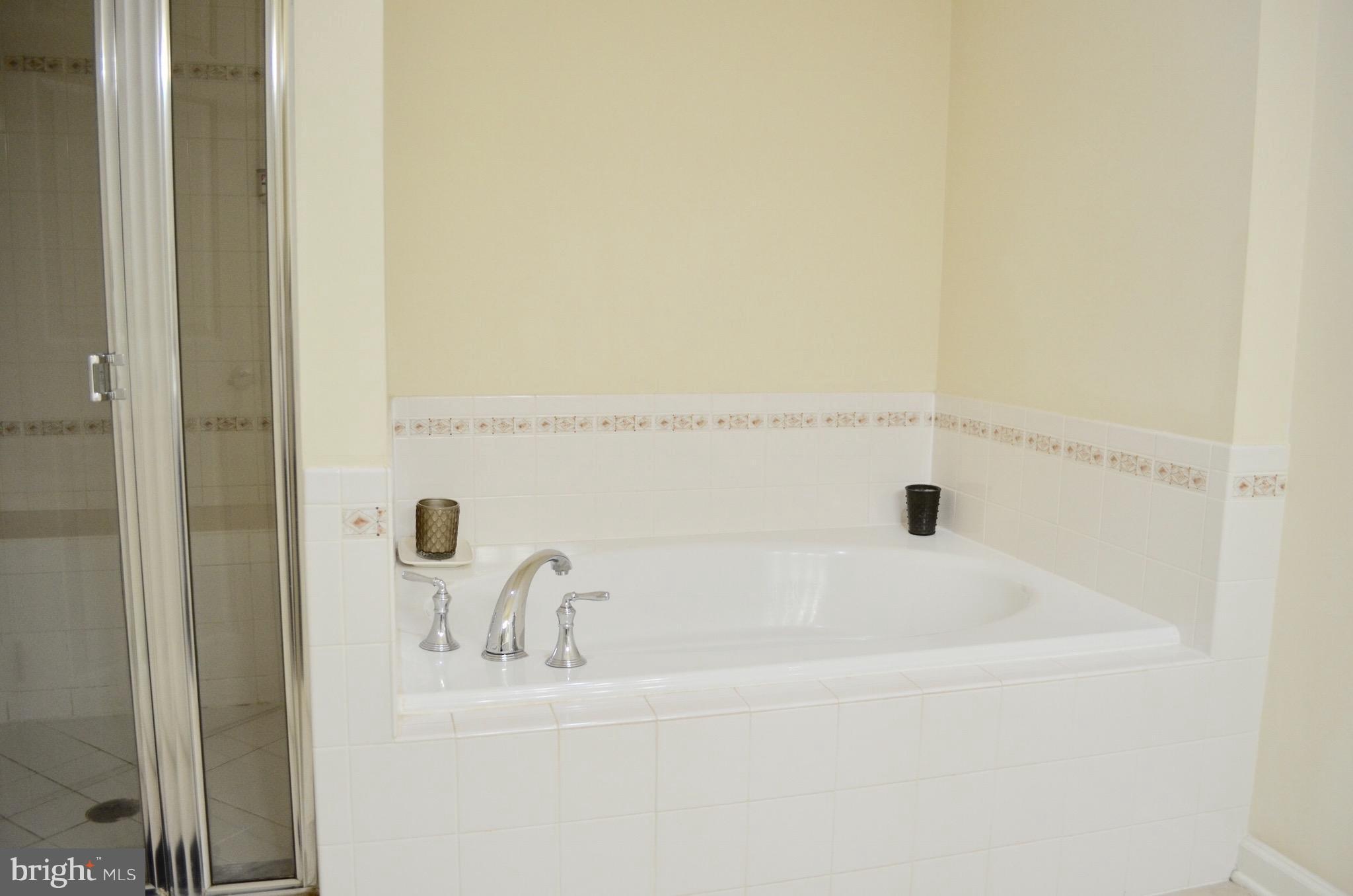 597 Cedar Spring Street Gaithersburg, MD 20877 - Photo 18 of 24 Bath (Master)