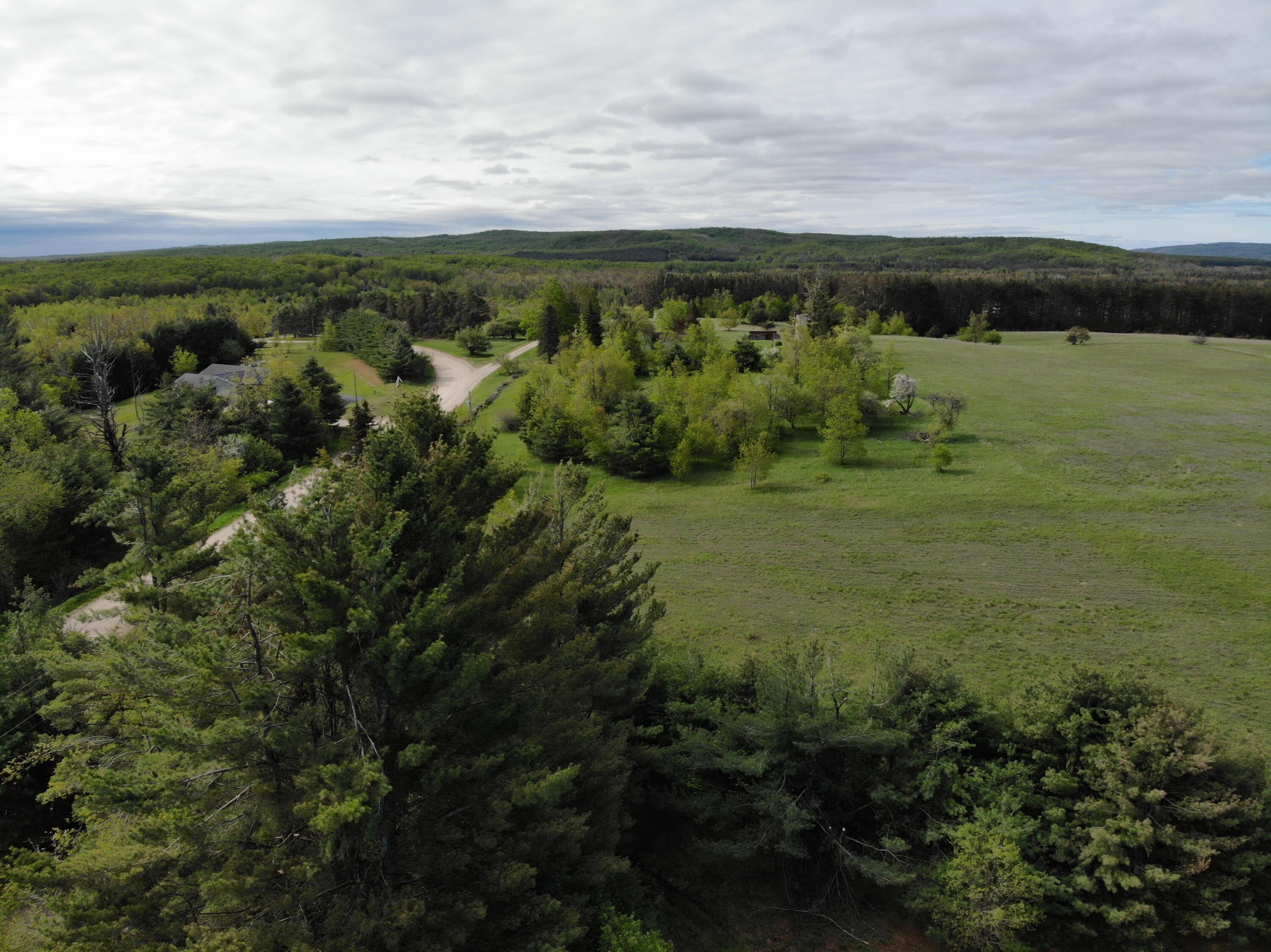 Nichols Road Pellston, MI 49769 - Photo 13 of 32