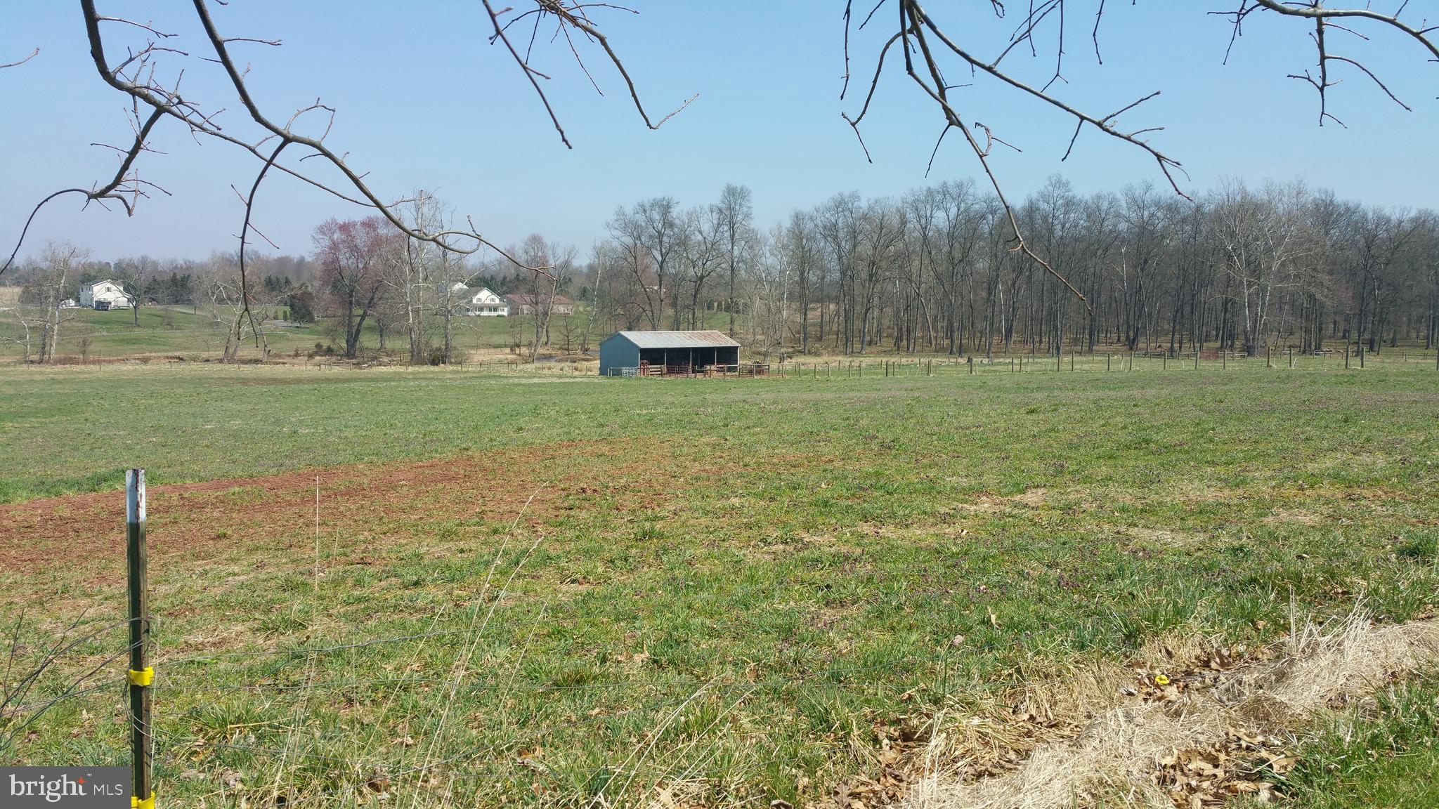2311 Bear Run Road Westminster, MD 21158 - Photo 31 of 62 view of pasture with run in shed 36' x 16'