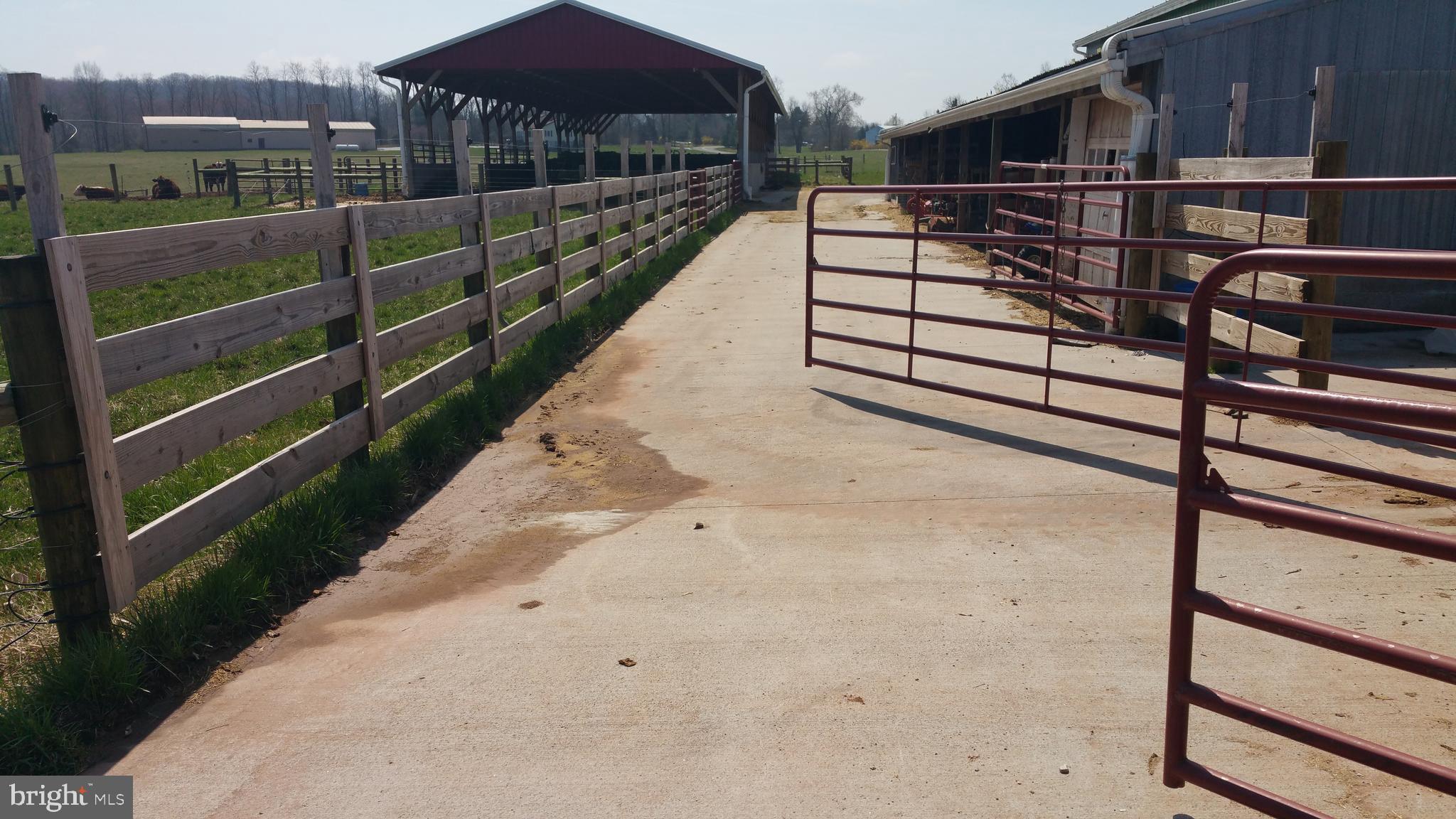 2311 Bear Run Road Westminster, MD 21158 - Photo 39 of 62 concrete run between stalls and paddocks