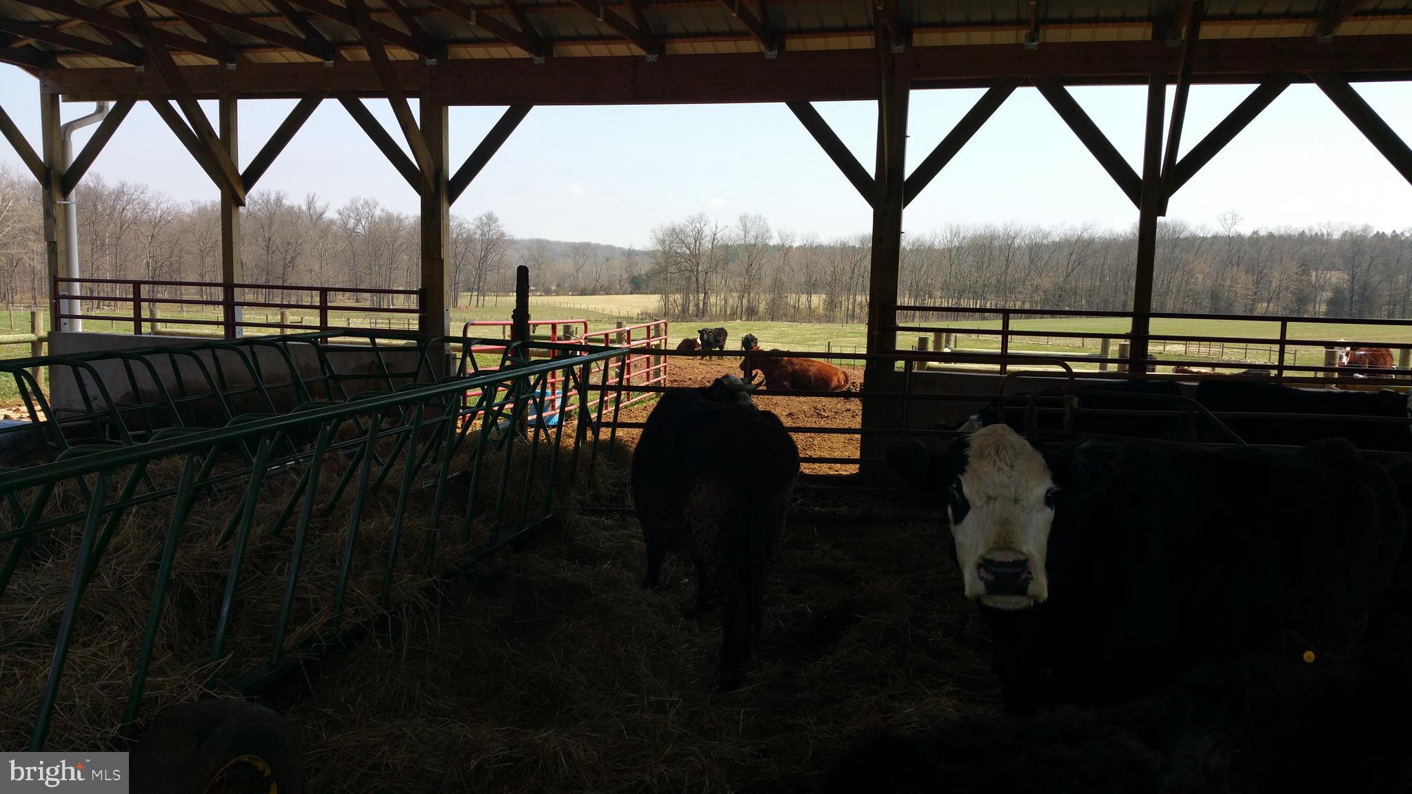 2311 Bear Run Road Westminster, MD 21158 - Photo 44 of 62 Gallery Image 44