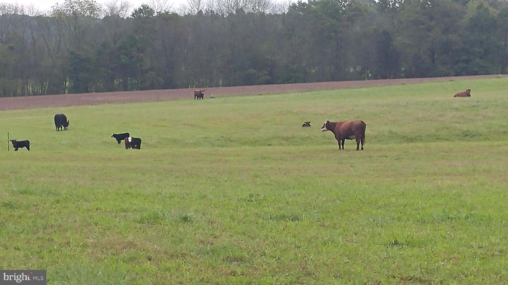 2311 Bear Run Road Westminster, MD 21158 - Photo 62 of 62 pasture