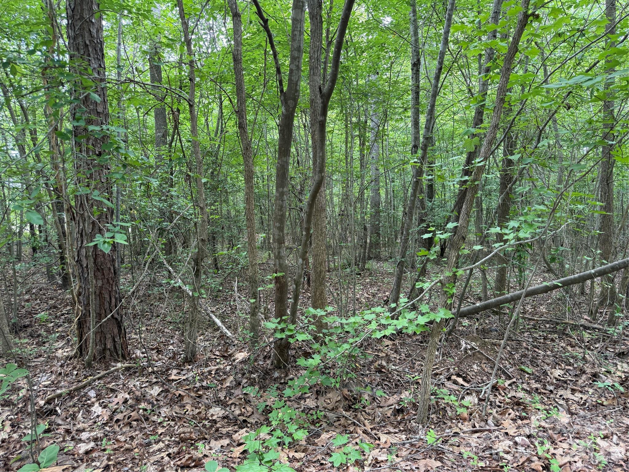 0 Herbert Faucette Road Bullock, NC 27507 - Photo 26 of 40