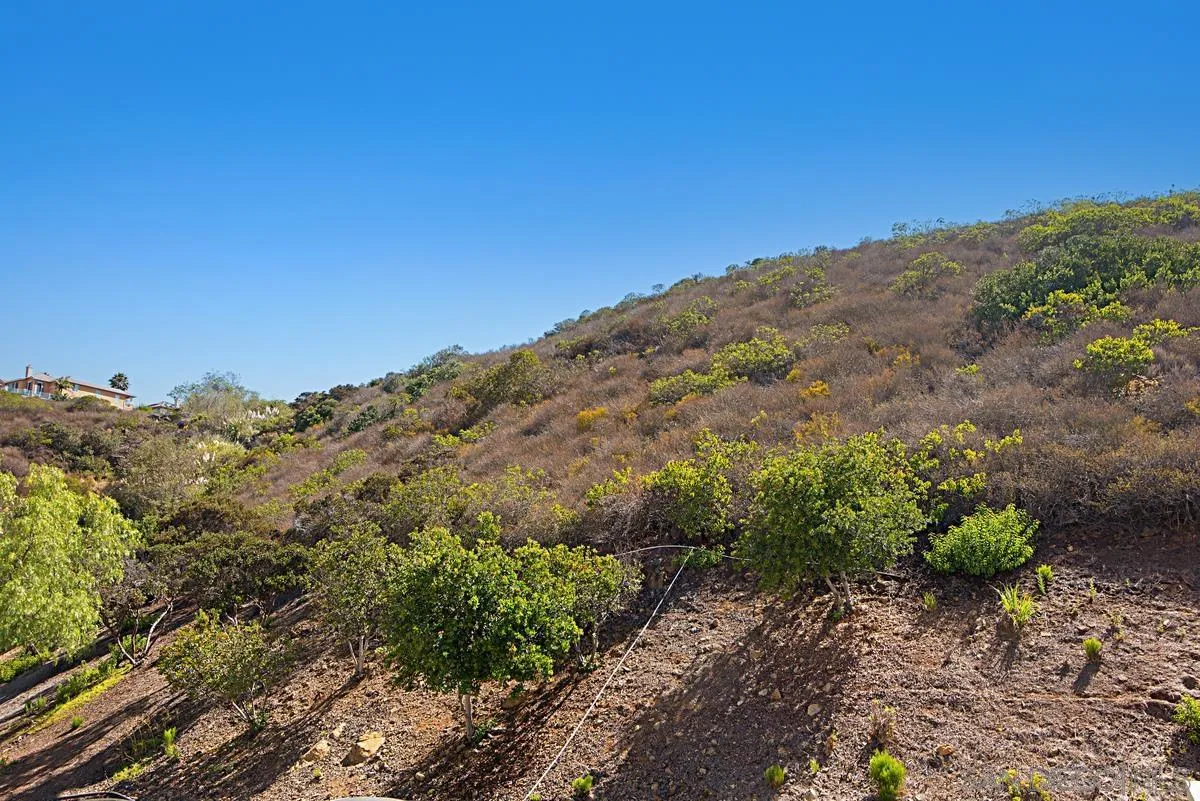 11235 Affinity Court, Unit 68 San Diego, CA 92131 - Photo 25 of 29 a view of a mountain range with trees in the background