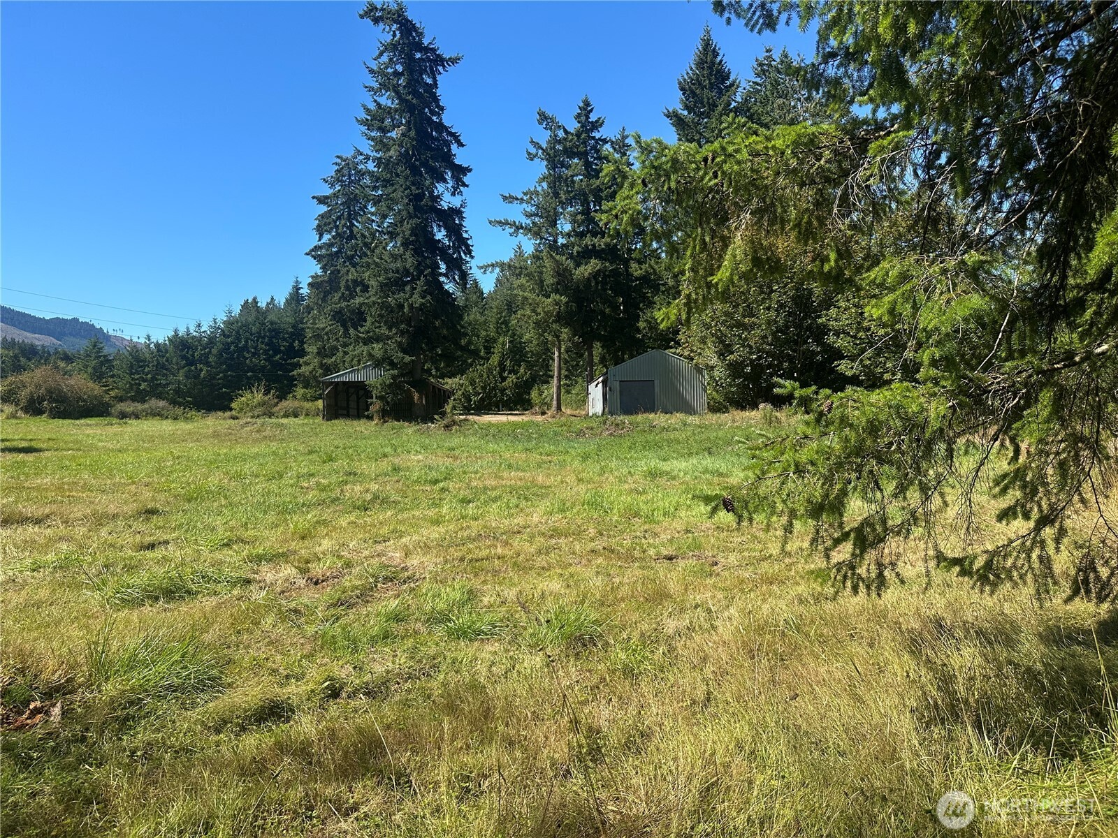 103 Grauel-Ramapo Road Port Angeles, WA 98363 - Photo 1 of 28 Gallery Image 1