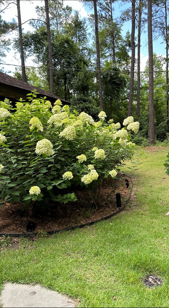 21 Old Sandfort Road Phenix City, AL 36869 - Photo 4 of 19 a bunch of flowers and trees