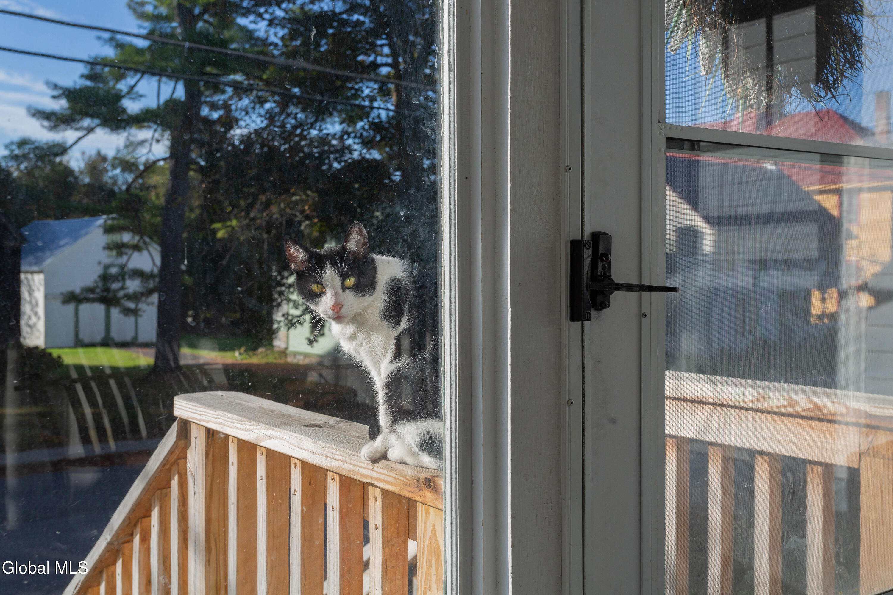 107 County Highway Springfield Center, NY 13468 - Photo 29 of 42 459A9015