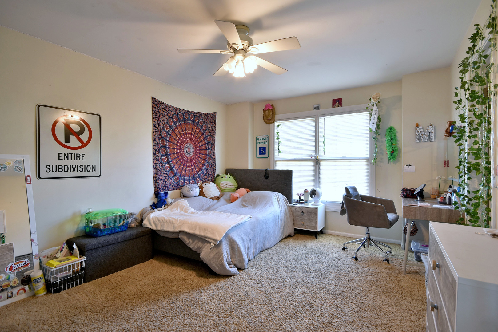 781 Hayrack Drive Algonquin, IL 60102 - Photo 26 of 54 a bedroom with furniture and a large window