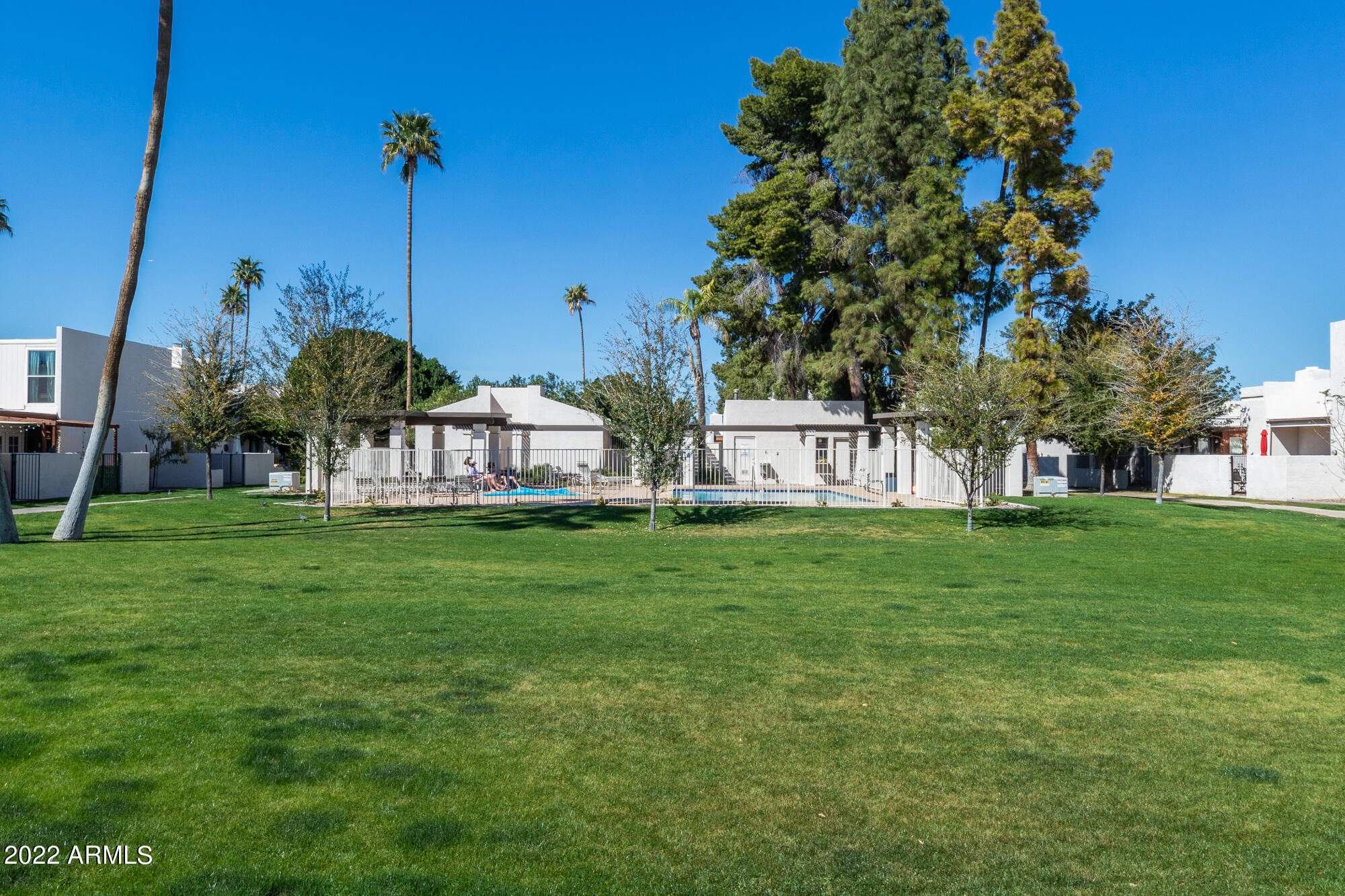 3125 South Orm Drive Tempe, AZ 85282 - Photo 33 of 37 2nd grassy area off pool