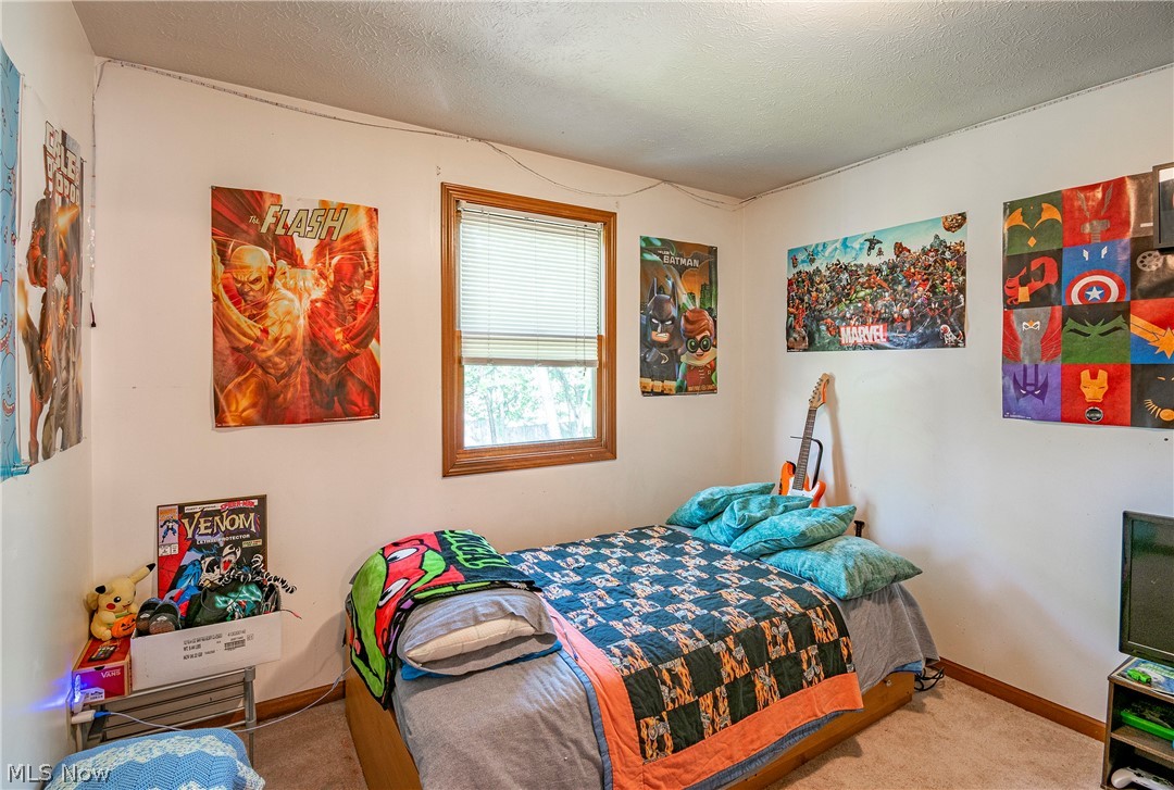 9 Holly Court Rittman, OH 44270 - Photo 12 of 15 Gallery Image 12