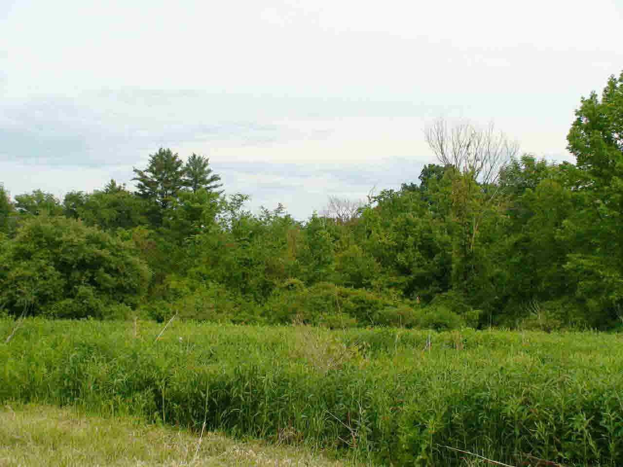 509 Dean Road Kingsbury, NY 12839 - Photo 8 of 12 Photo 8