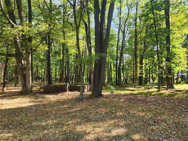 a view of outdoor space with trees