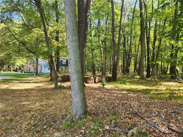 a view of a tree in the middle of a yard