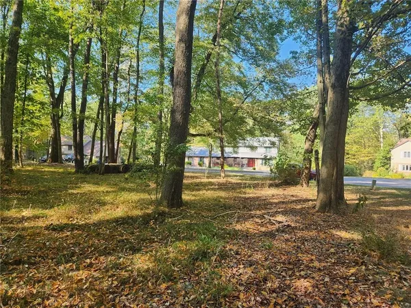 a view of a tree in the middle of a yard