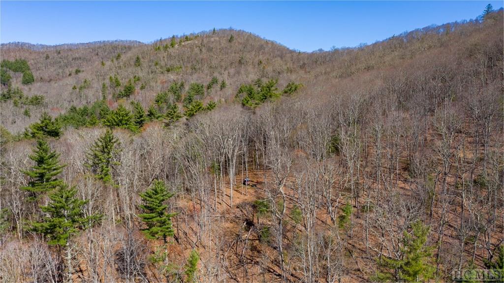 0 Salt Rock Road Highlands, NC 28741 - Photo 14 of 21 Gallery Image 14