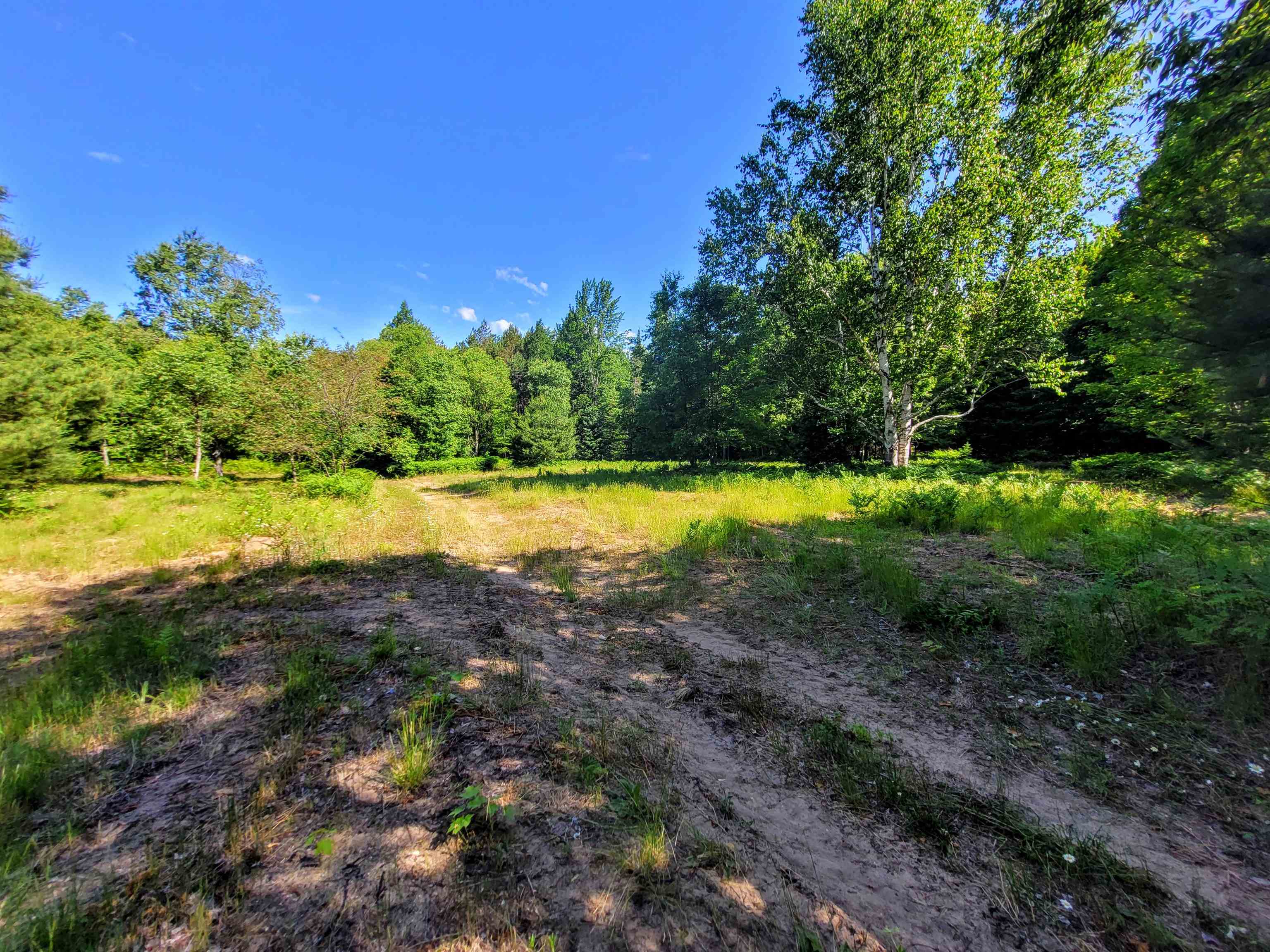 4501 Old Rural Rte 16 Road Southeast Kalkaska, MI 49646 - Photo 3 of 17 1901728-2.JPG
