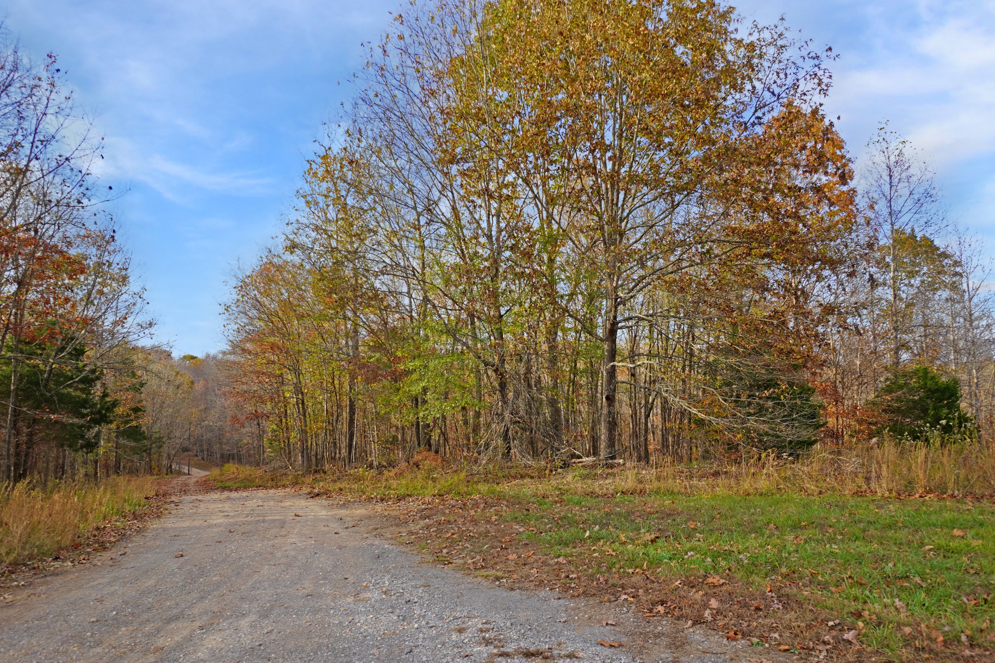 2 Robertson Hill Road Dover, TN 37058 - Photo 1 of 10 Gallery Image 1