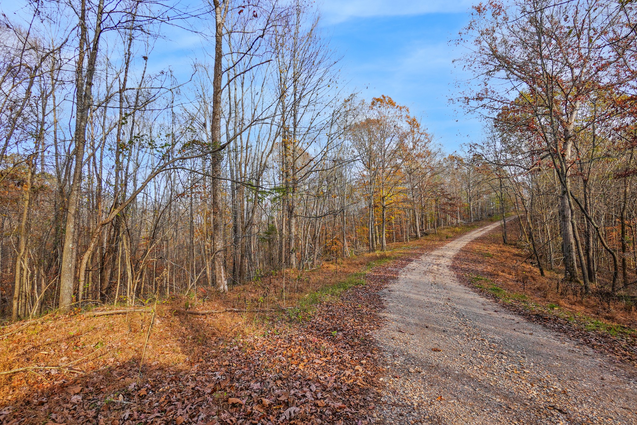 2 Robertson Hill Road Dover, TN 37058 - Photo 2 of 10 Gallery Image 2