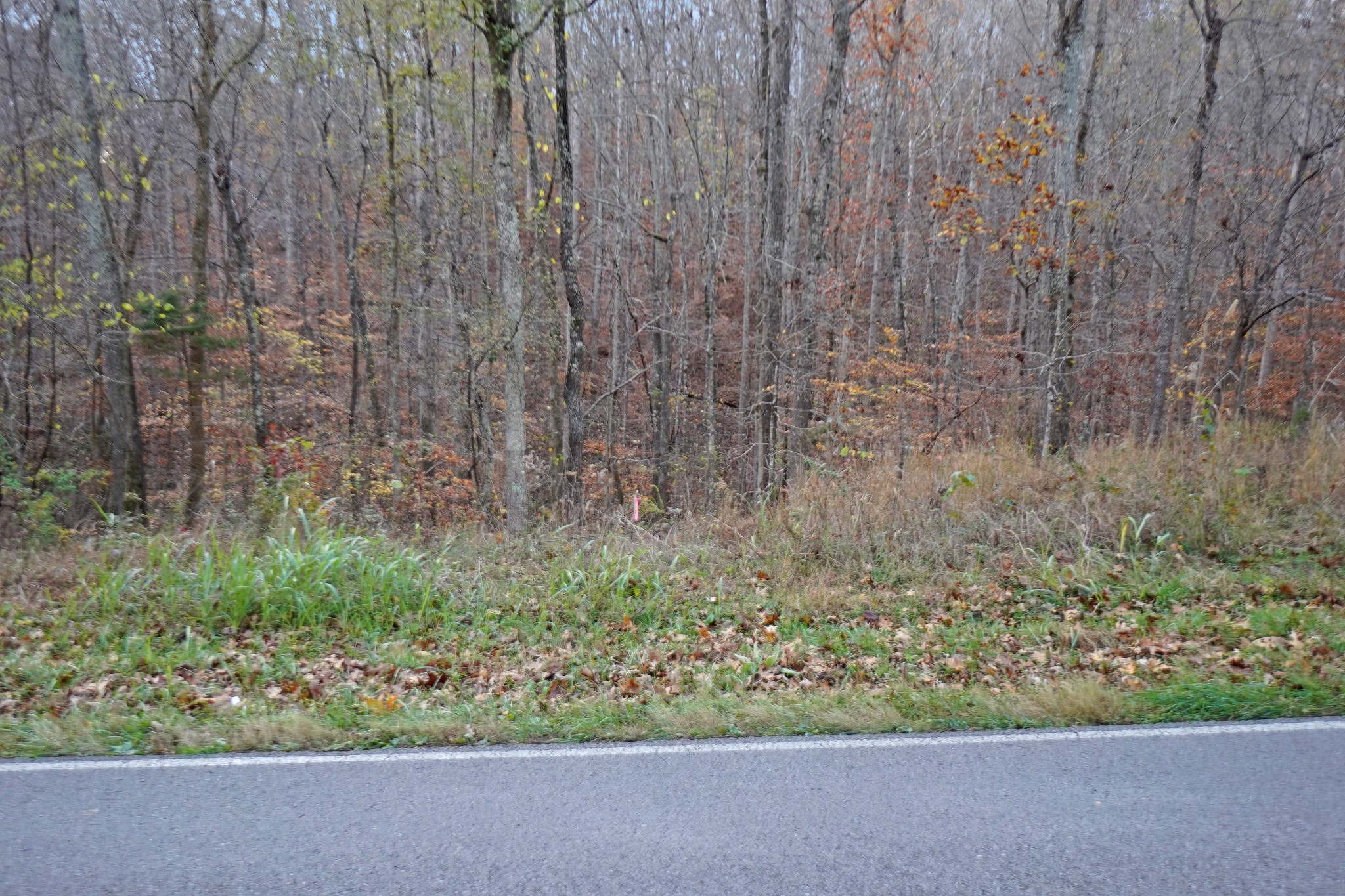 2 Robertson Hill Road Dover, TN 37058 - Photo 3 of 10 Gallery Image 3