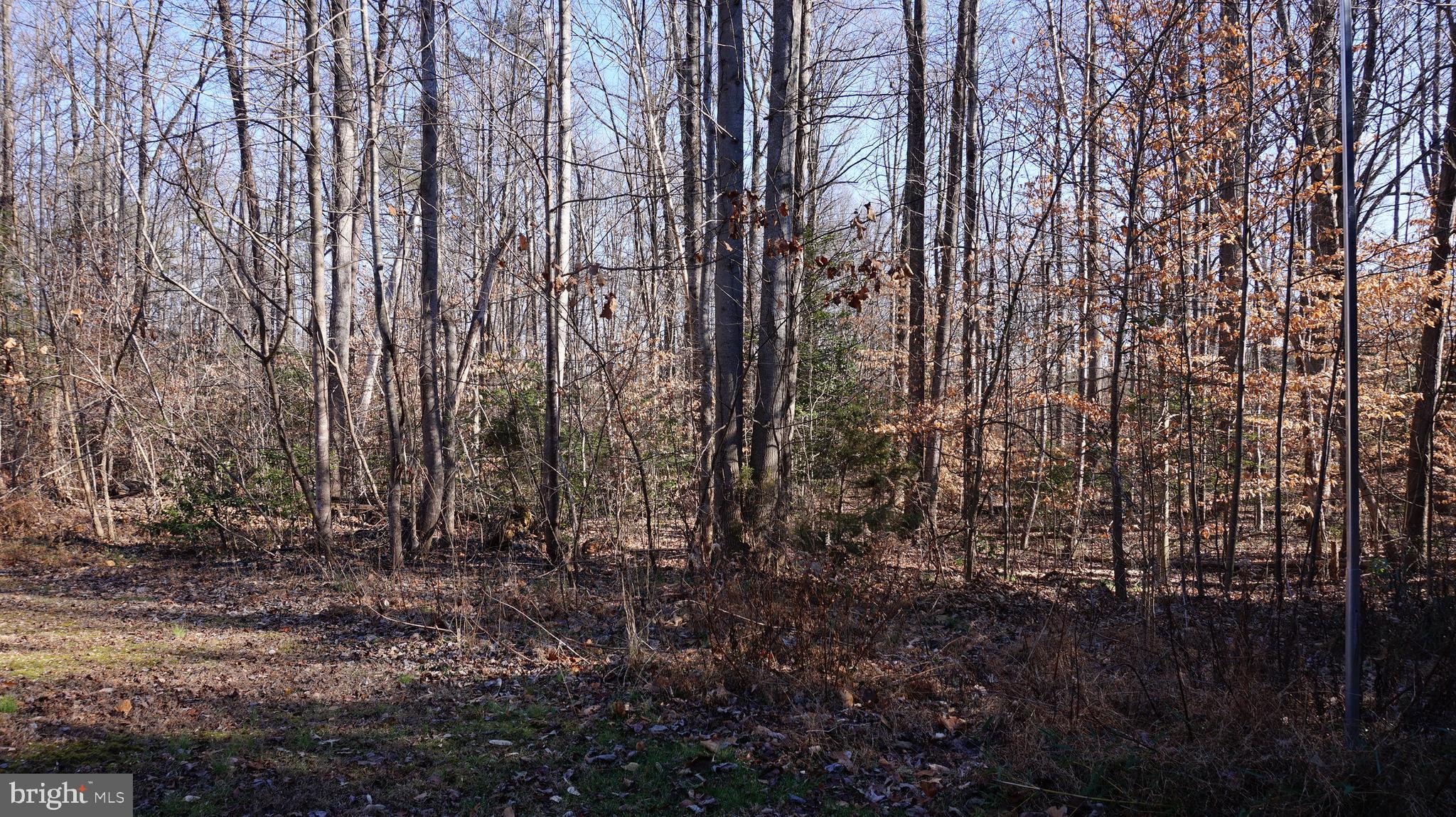 0 MacGregor Ridge Road Stafford, VA 22554 - Photo 1 of 9