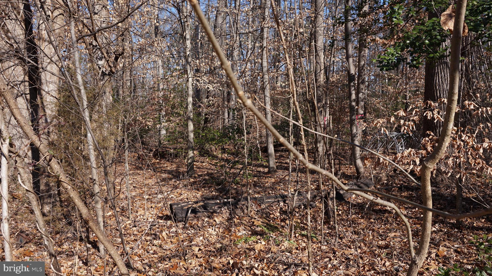 0 MacGregor Ridge Road Stafford, VA 22554 - Photo 2 of 9