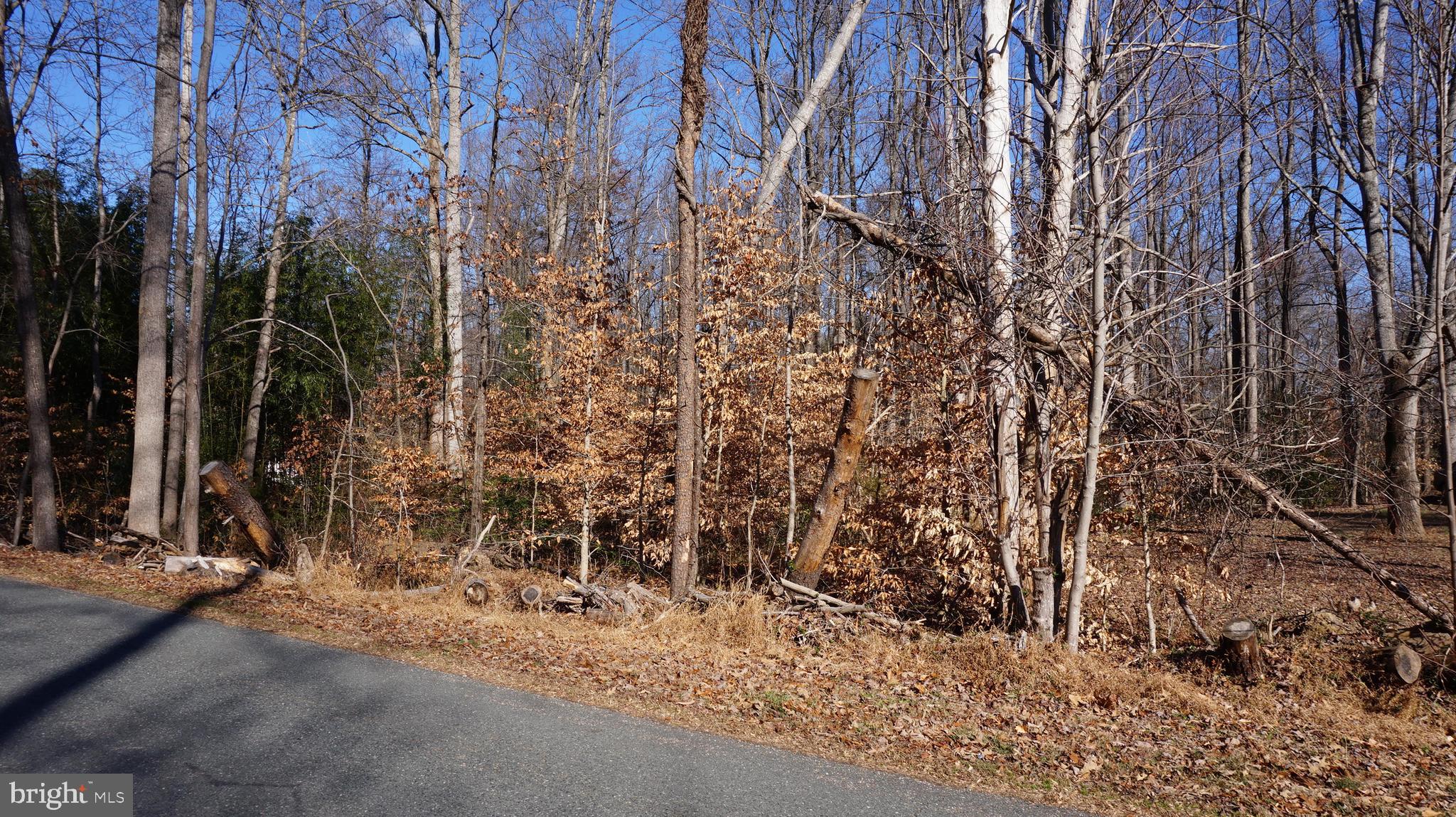 0 MacGregor Ridge Road Stafford, VA 22554 - Photo 8 of 9