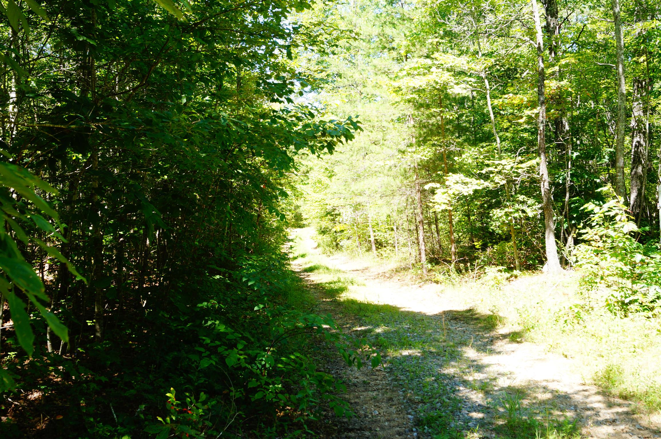 1102 Ridge Rd Spring Crossville, TN 38572 - Photo 15 of 29 Gallery Image 15