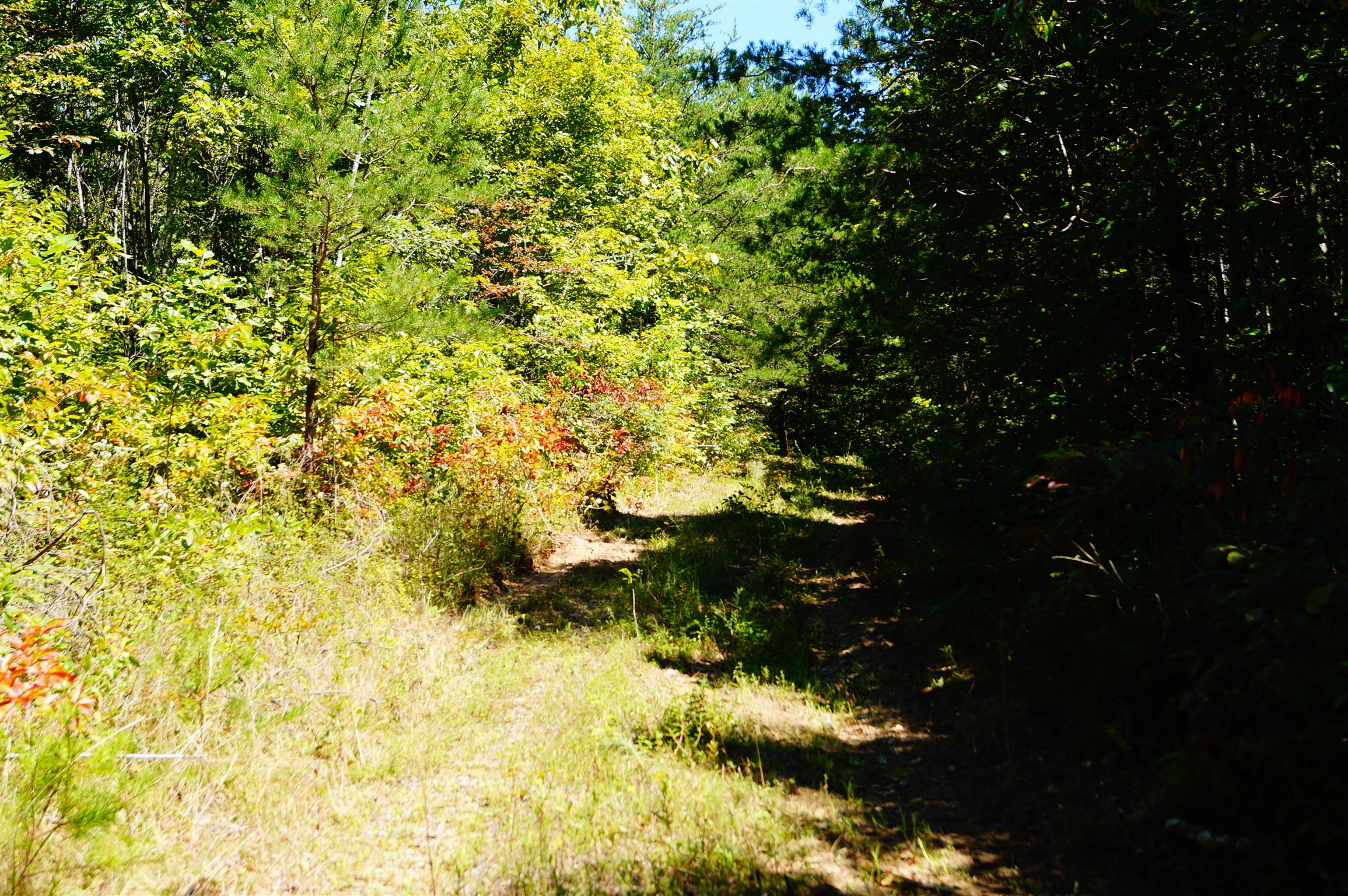 1102 Ridge Rd Spring Crossville, TN 38572 - Photo 24 of 29 Gallery Image 24