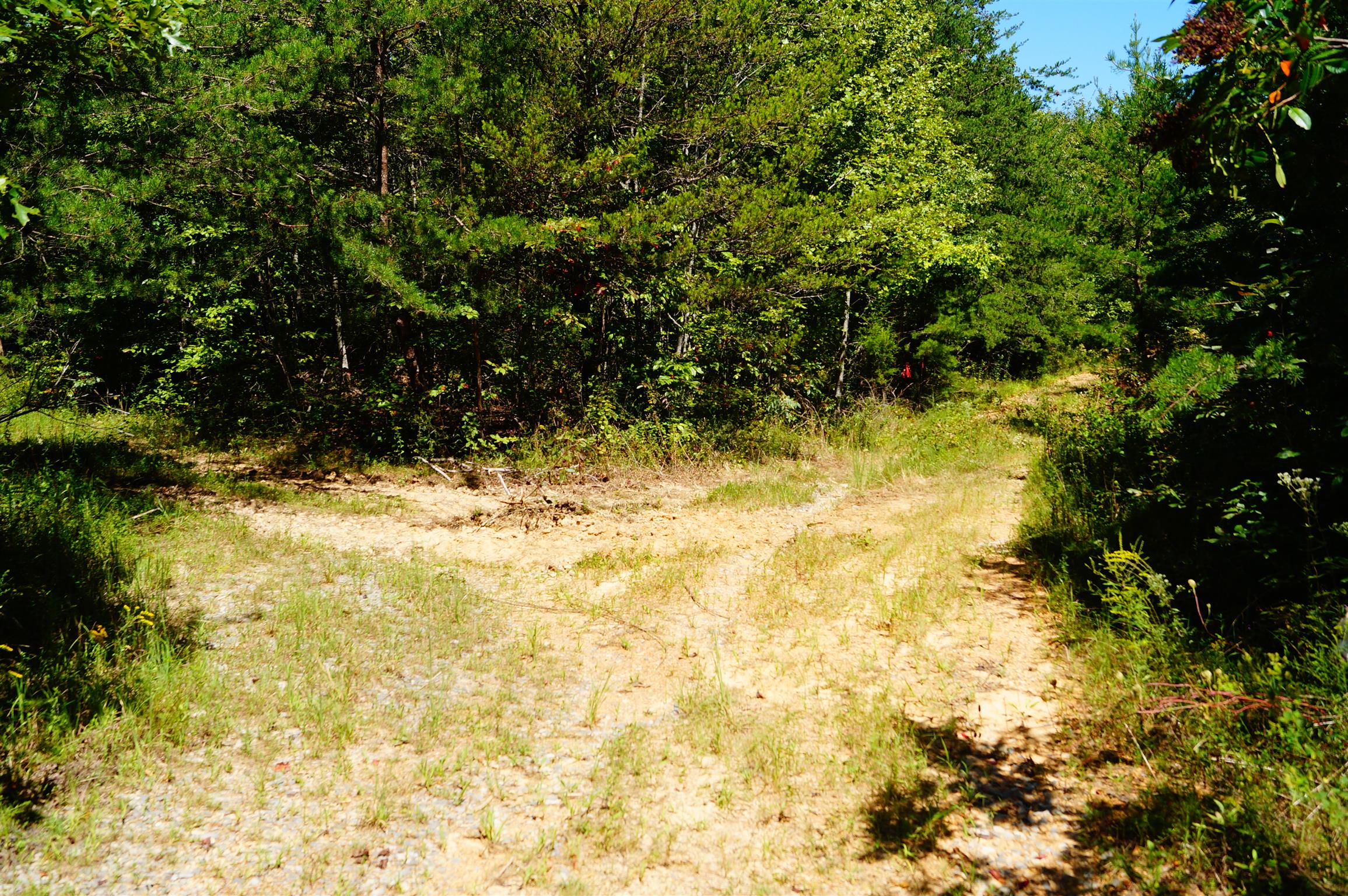 1102 Ridge Rd Spring Crossville, TN 38572 - Photo 25 of 29 Gallery Image 25