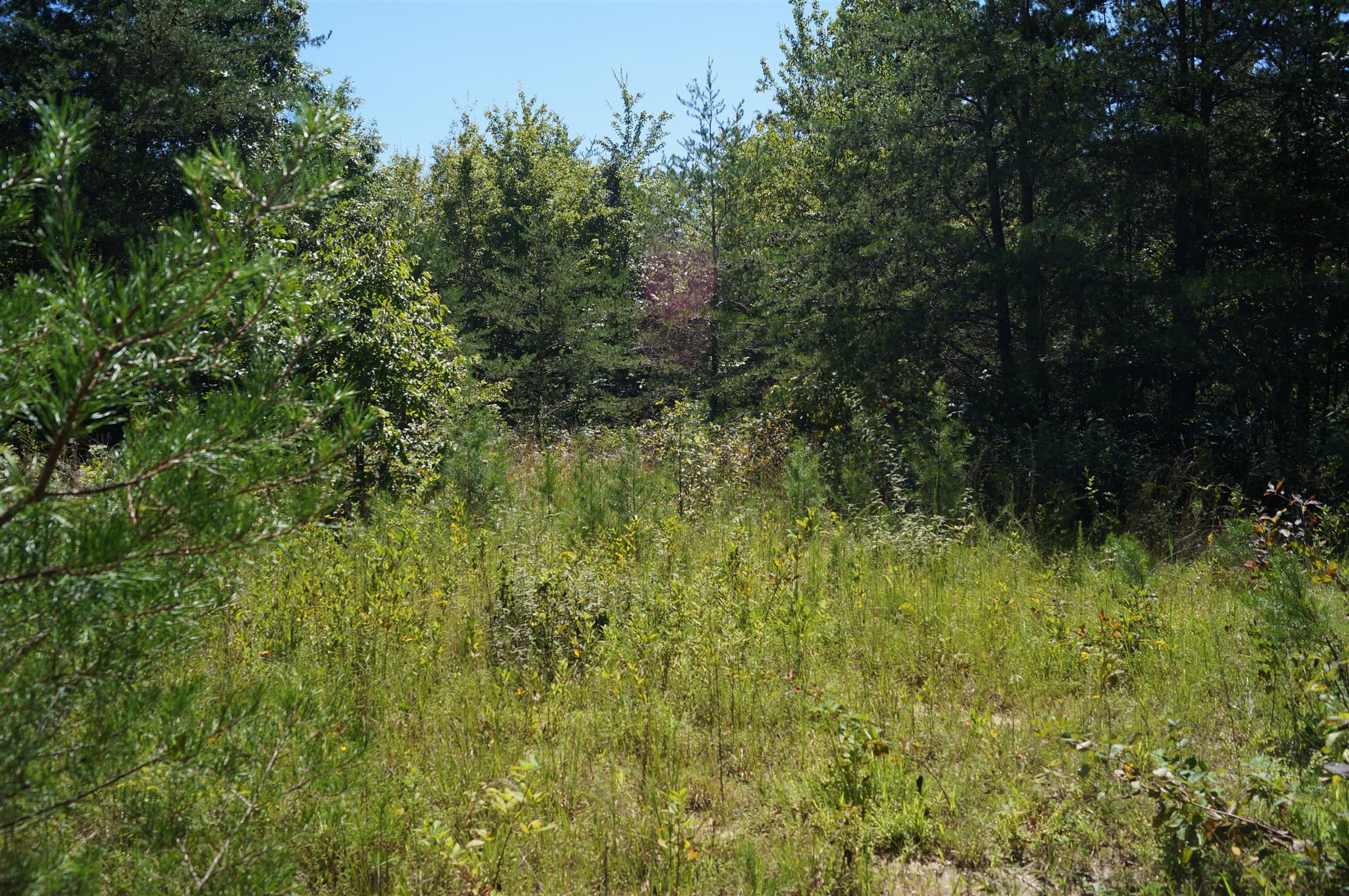 1102 Ridge Rd Spring Crossville, TN 38572 - Photo 26 of 29 Gallery Image 26