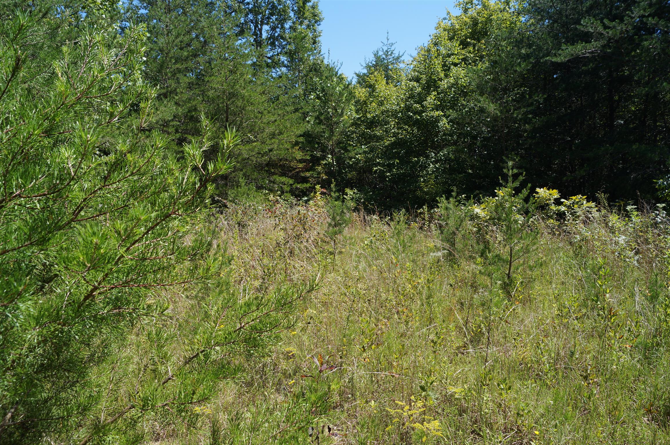 1102 Ridge Rd Spring Crossville, TN 38572 - Photo 27 of 29 Gallery Image 27